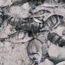 (주)대영종합산업 | 대영포장 주가 하락전환, 왜 단기 급등 후 꺾였을까요?