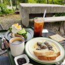 머쉬룸하우스 이미지