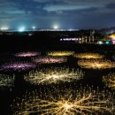 로맨틱 제주 이미지