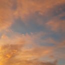 금산선착장 이미지