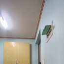 봉곡동238 이미지