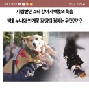 오늘 궁금한이야기Y 백호누나 나와요!! 이미지