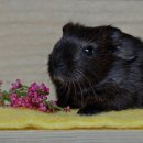 11215-자양3-395 | [서울 성수동 제철 신선한 아구찜 맛집 추천] 은성식당 성수동 은성식당, 신선한 해산물의 맛