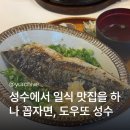 도우또 성수