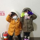뽑기마니아 이미지