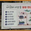 시연민박 이미지