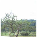 (주)장수조경