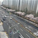 대림타운 이미지