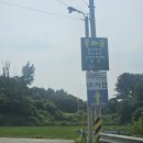 [포천/캠핑장] 캠린이의 울미숲 오토캠핑장 버드나무존 A7 캠핑 후기