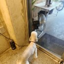 치킨버커클럽 이미지