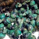 성진푸드 이미지