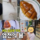 두딸 | 여수 이순신광장 소금빵 맛집, 두 딸이 가장 좋아하는 '염전의봄' 후기[내돈내산]