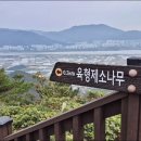 하늘마당