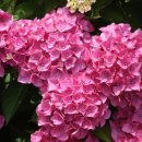 예천군문화회관 이미지