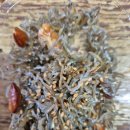 대동농협하나로마트 이미지