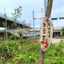 평택항마린센터 이미지