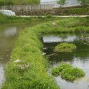 대산마을 이미지