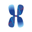 이슬로건강원본오점;건강나라 | 심평원 2026 채용부터 선별집중심사까지 핵심 총정리