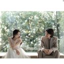 피아빌딩 | 다이렉트 웨딩박람회 인물중심 피아스튜디오 계약후기