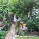 법수민박 이미지