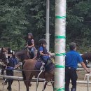 건영승마장 이미지