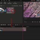 동영상 편집(곰믹스, 파워디렉터) 이미지