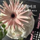 탄벌동-17 | 주문 제작 케이크 경기 광주 반쿠 케이크 내 돈 내산 3회차 후기