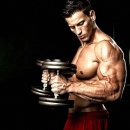 해머 플러스 이미지