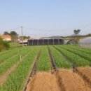 송시마을회관 이미지