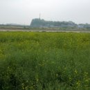 벌꿀모텔 이미지