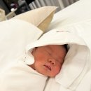 행복한수약국 - 영등포구 영중로2길 1 | 강서 디어원 산후조리원 둘째주 이야기