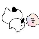 명일회계 이미지