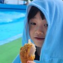 로만바스 수영장 이미지