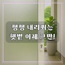 유니독