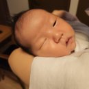 마드레산후조리원 | 동대문 마드레 산후조리원 13박14일 디럭스 후기