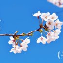 일본어회화2 이미지