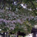 강치목장 이미지