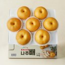 배**-5