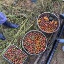 인제농장 이미지