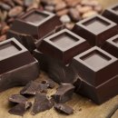 24시 핸즈동물의료센터 이미지