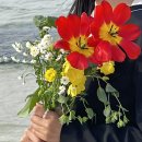 이호발전소 이미지