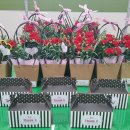 배양초등학교 이미지