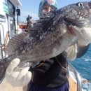 피쉬헌터 이미지