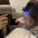 뿌리 유치원 | 앞머리볼륨 초간단 손질방법으로 뿌리볼륨집게 포뷰트 후기