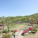 채원애뜰 이미지