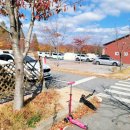 천문대오토캠핑장 이미지