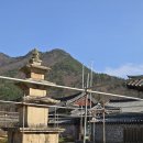 지금은 동(東)의  이미지