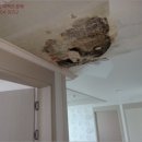 포항시남구33 이미지