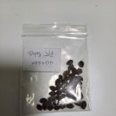 그린파파야 이미지