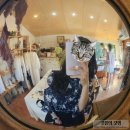 화목토 | 경주 황리단길 소품샵 화목토, 문화문구 후기